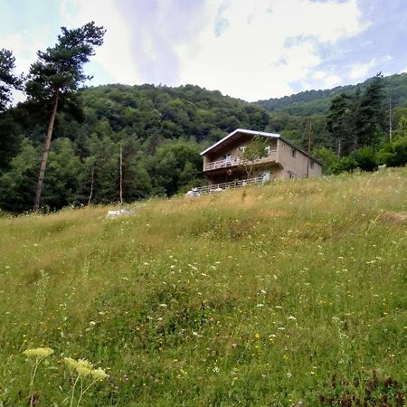 Guesthouse Gama In Khevsureti Roshka المظهر الخارجي الصورة