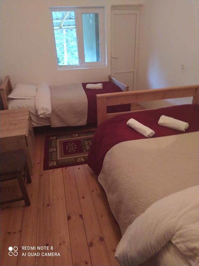 Guesthouse Gama In Khevsureti Roshka المظهر الخارجي الصورة