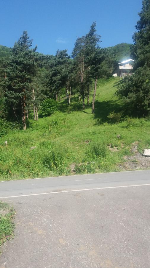 Guesthouse Gama In Khevsureti Roshka المظهر الخارجي الصورة