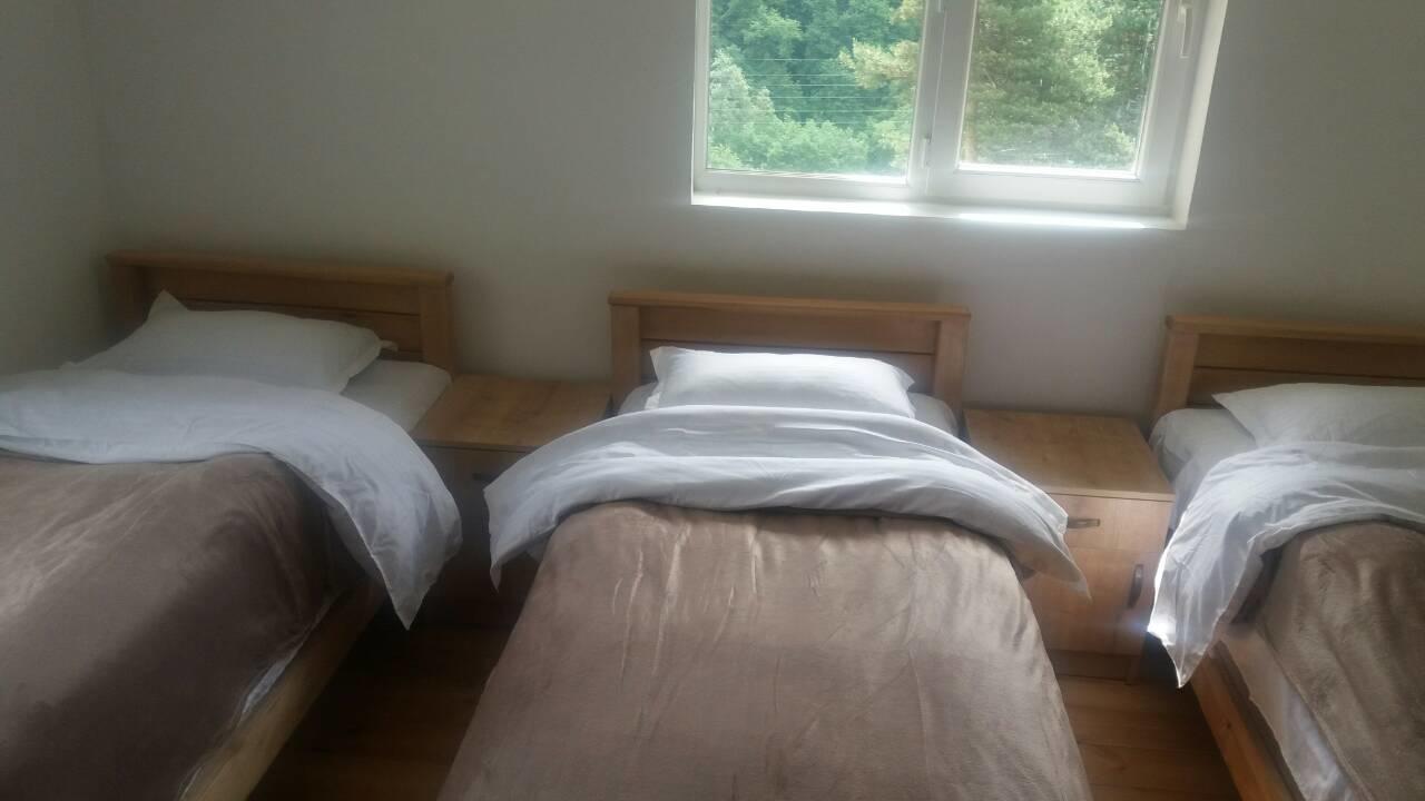 Guesthouse Gama In Khevsureti Roshka المظهر الخارجي الصورة