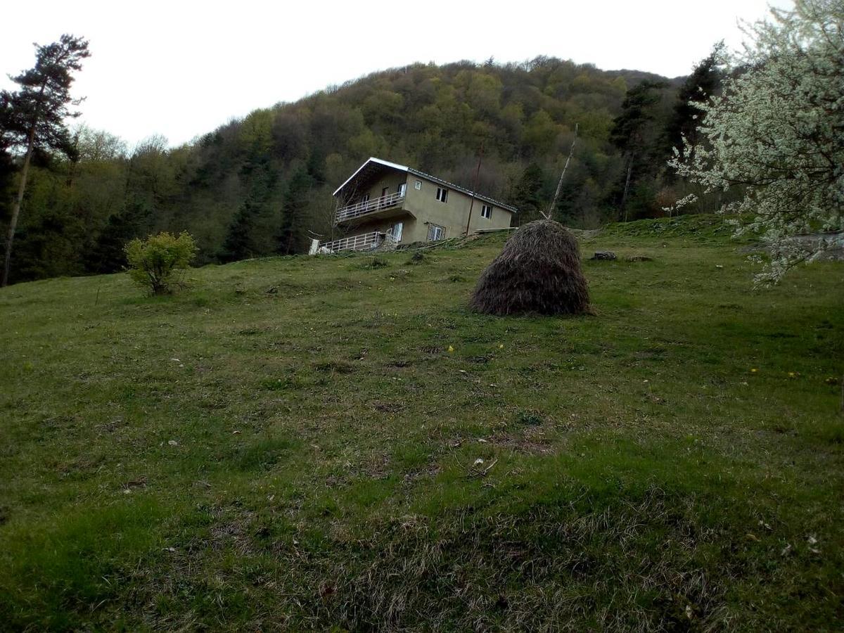 Guesthouse Gama In Khevsureti Roshka المظهر الخارجي الصورة