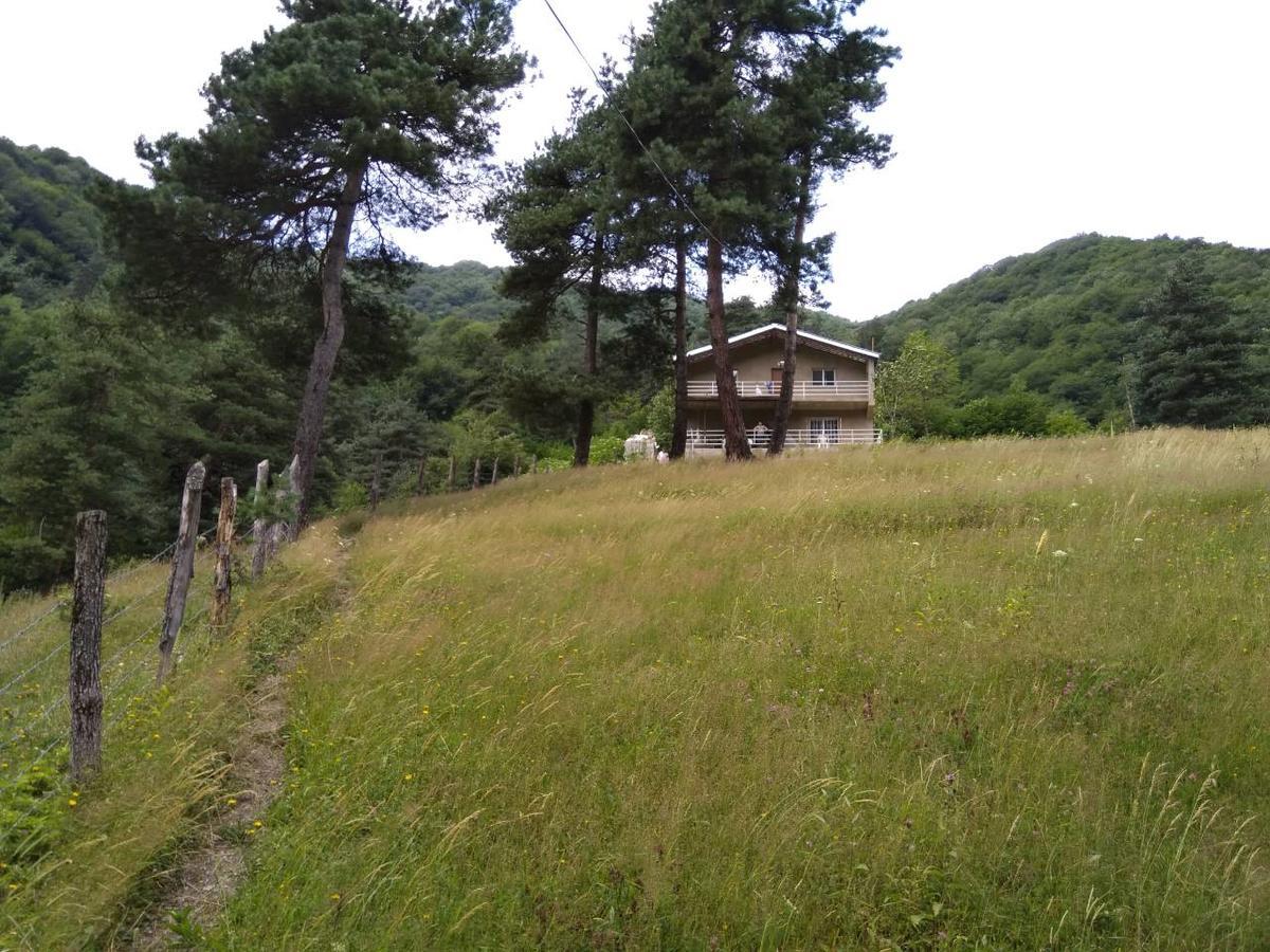 Guesthouse Gama In Khevsureti Roshka المظهر الخارجي الصورة