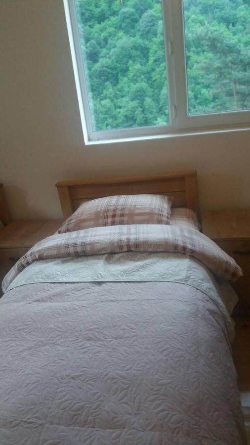 Guesthouse Gama In Khevsureti Roshka المظهر الخارجي الصورة